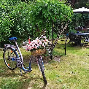 Retro & Garden Auberge de jeunesse